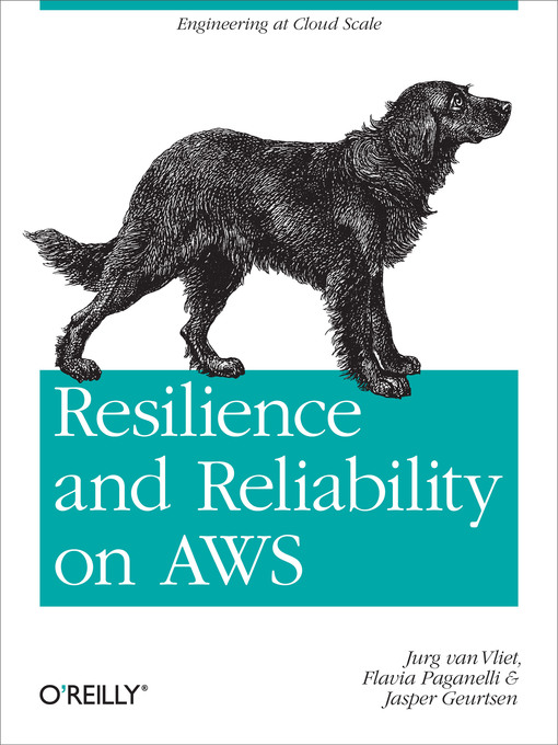 Title details for Resilience and Reliability on AWS by Jurg van Vliet - Available